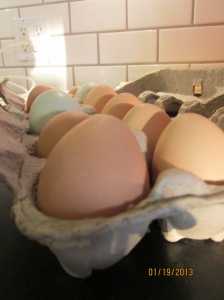Beautiful fresh eggs from the Rudin family that went into our pies.